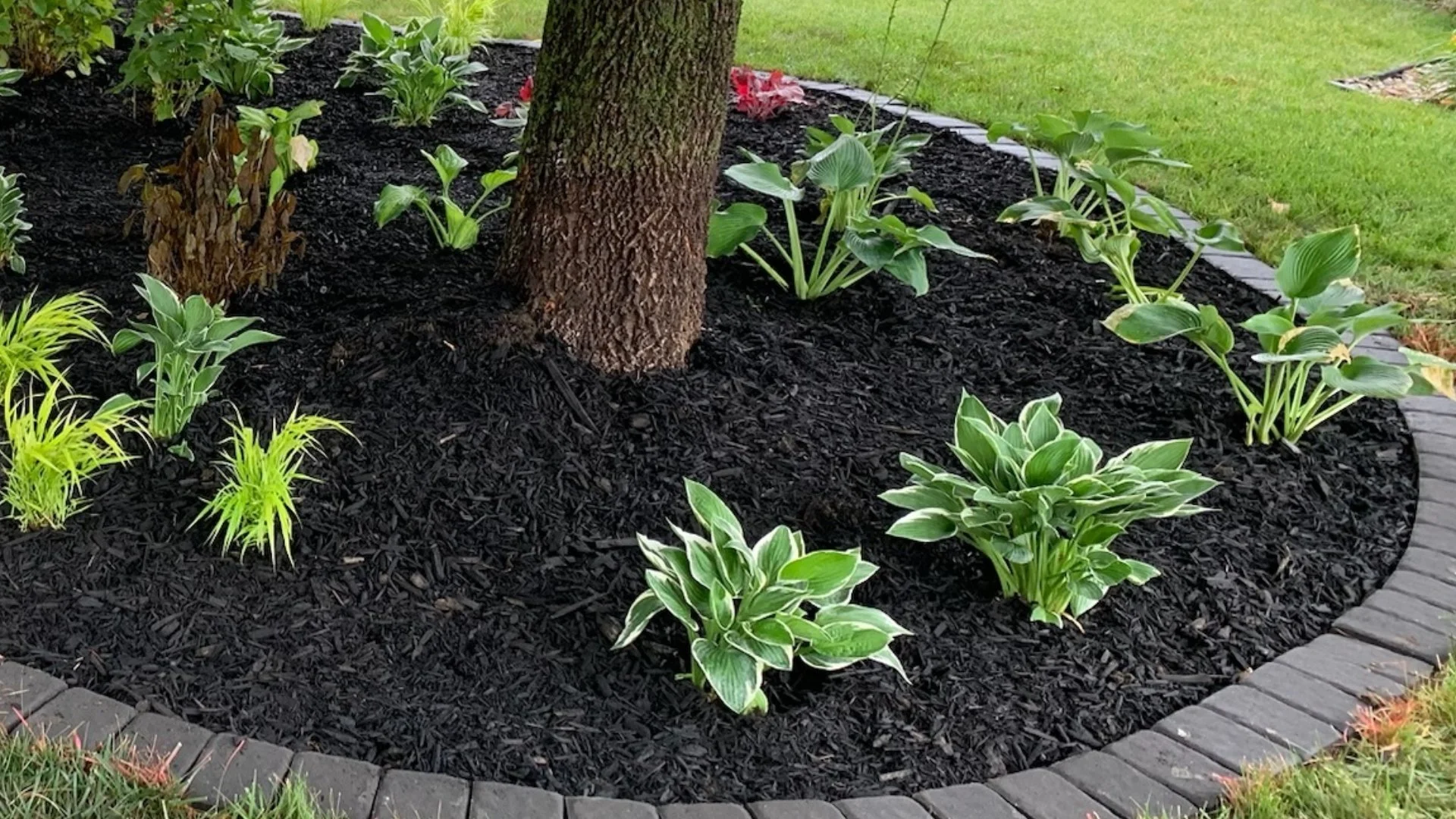 Enjoy a Landscape With Fewer Weeds by Installing Mulch