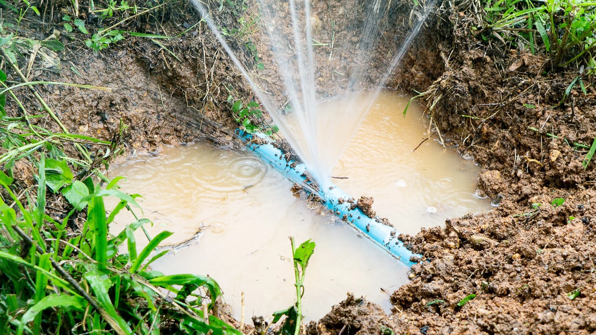 4 Tell-Tale Indications of a Leak in Your Irrigation System