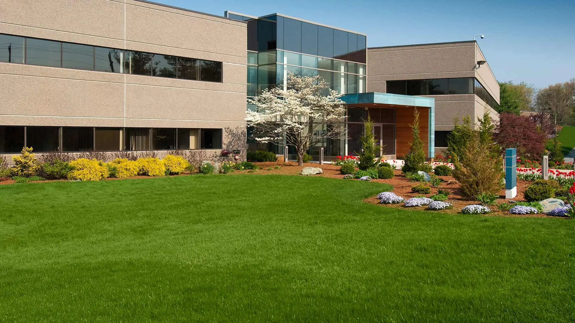 Commercial property with healthy lawn in Ankeny, Iowa.