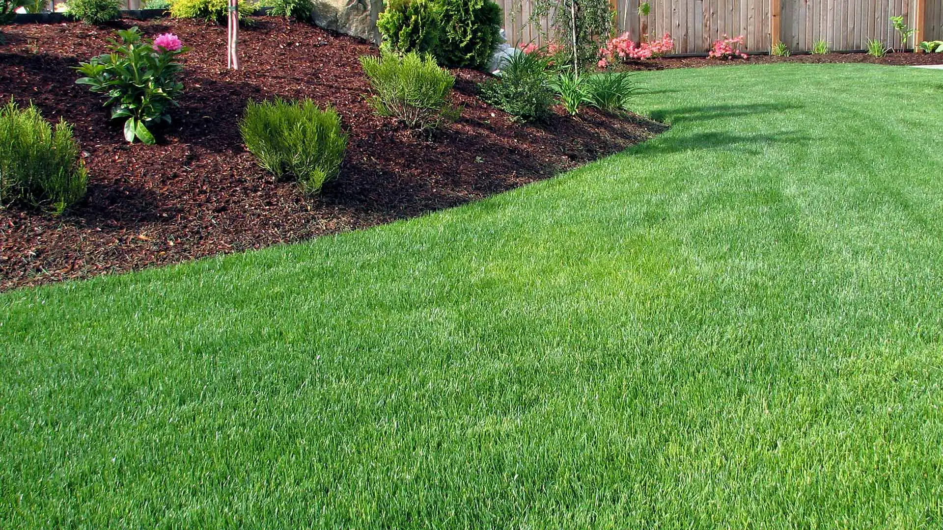 Deep green grass with regular weed control near Waukee, IA.