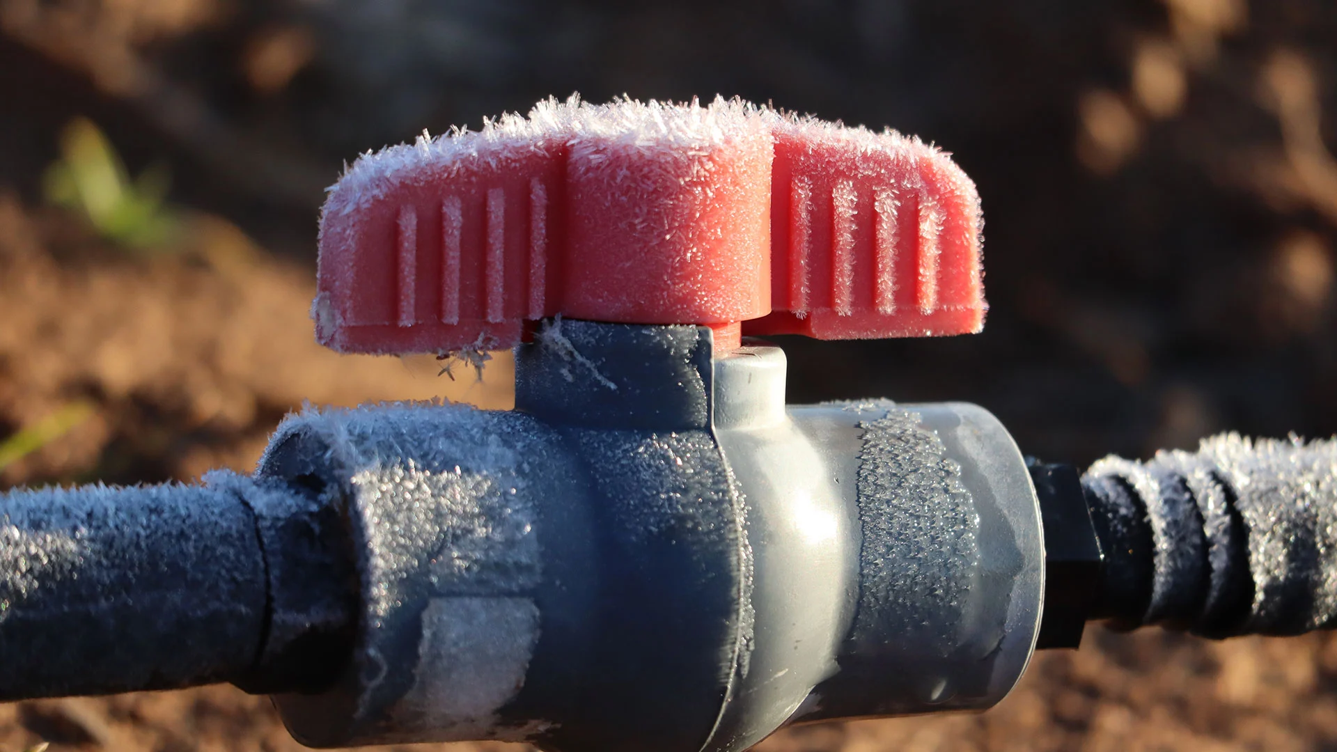 Frost found over irrigation line in Johnston, IA.