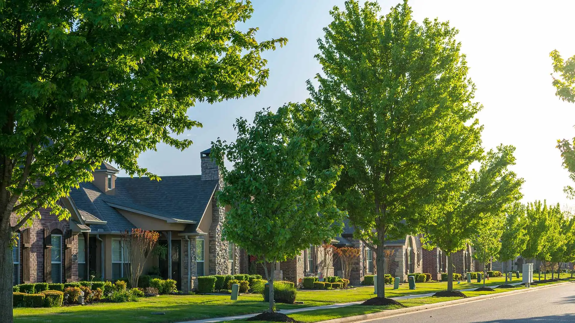 Greenery from neighborhood street in Polk City, IA.