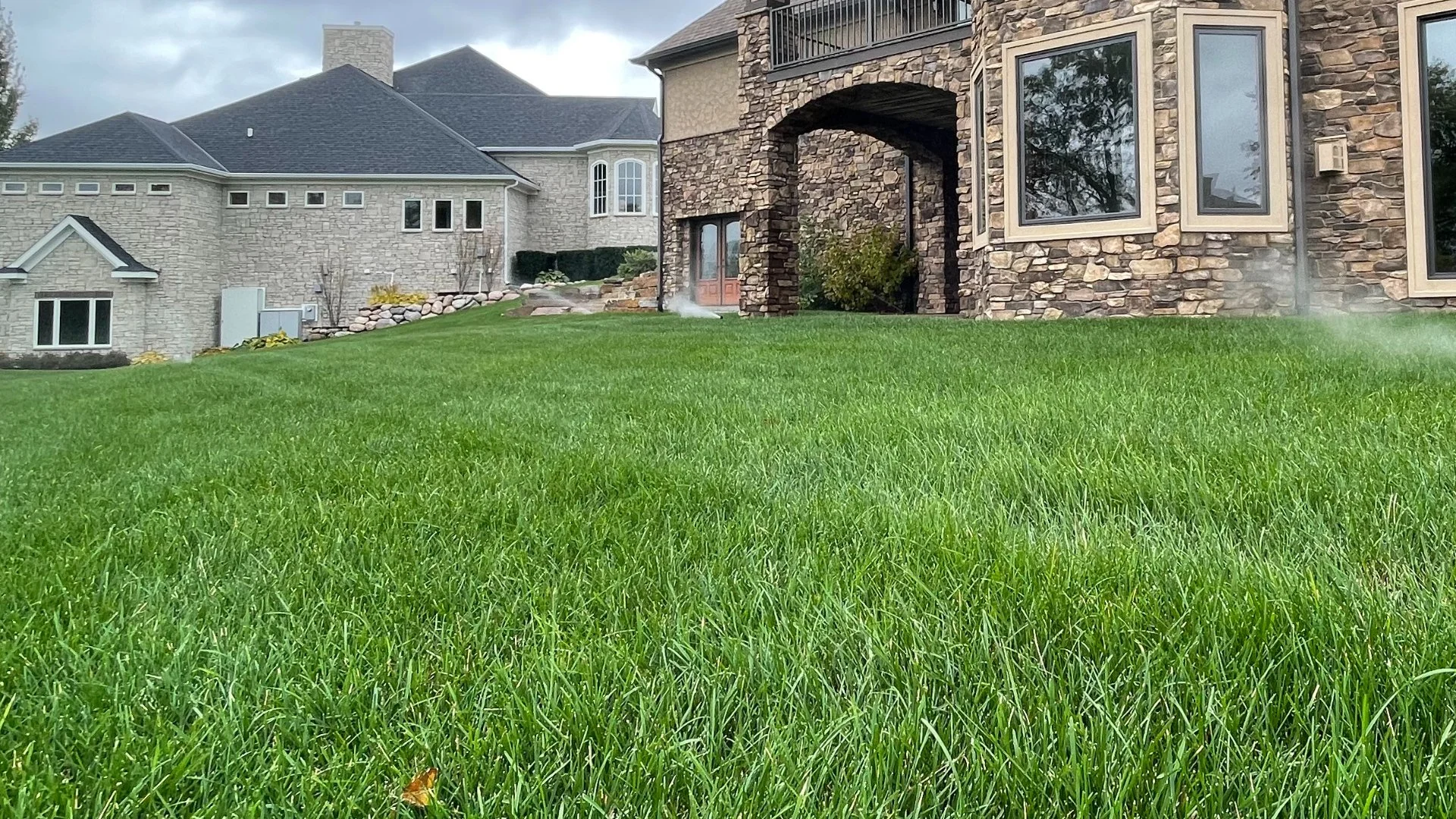 Proper Aftercare Dictates the Success of Overseeding!