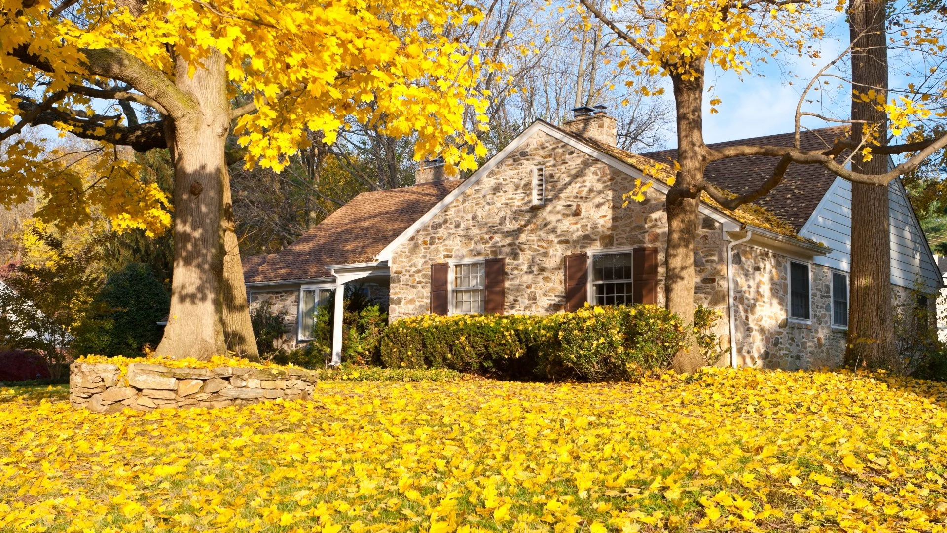 Fall Maintenance Puts Your Yard in a Good Place Before Winter
