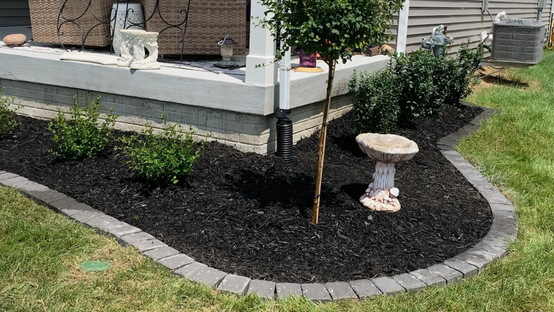 Does Mulch Really Help Keep Plants Healthy?