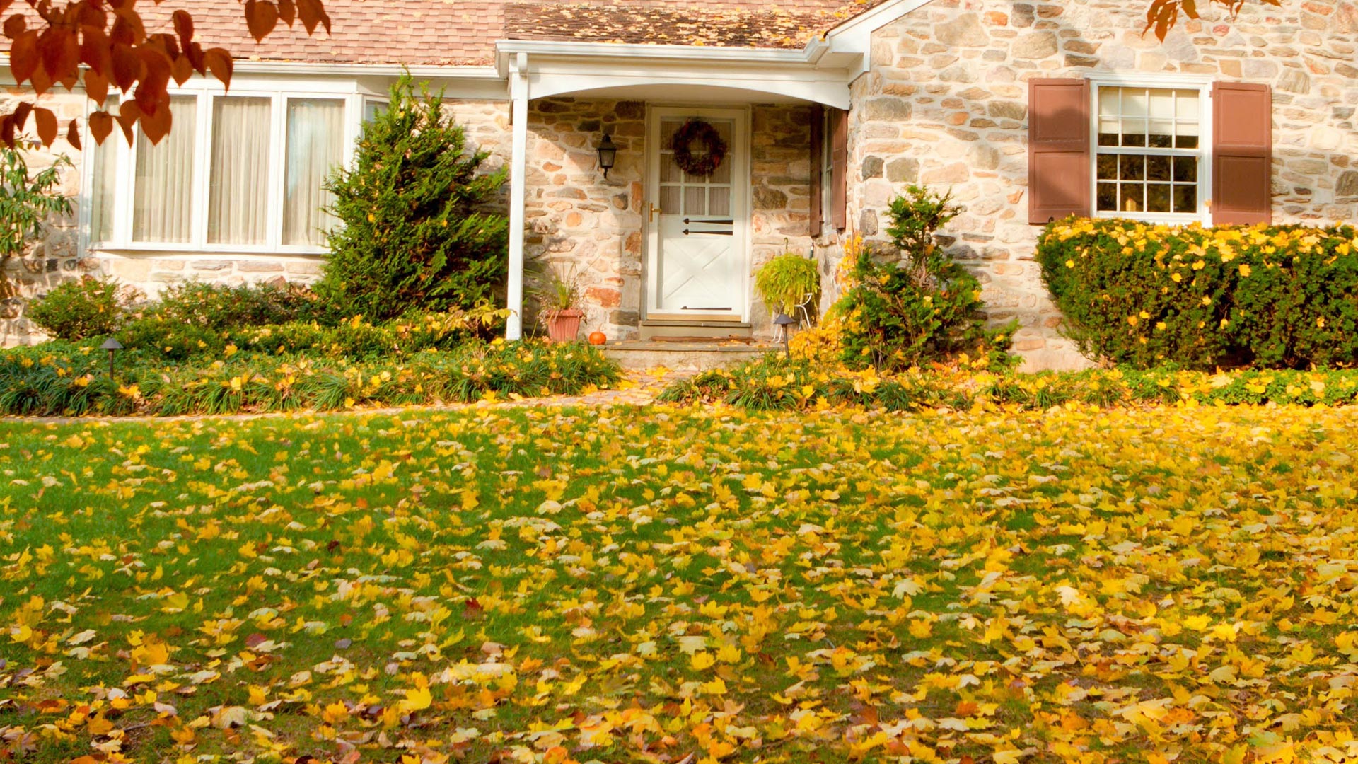 A leaf covered lawn and landscape in need of a fall cleanup in Huxley, IA.
