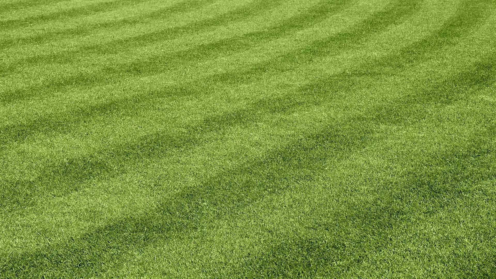 Lush, green lawn with mowing stripes near Ankeny, IA.