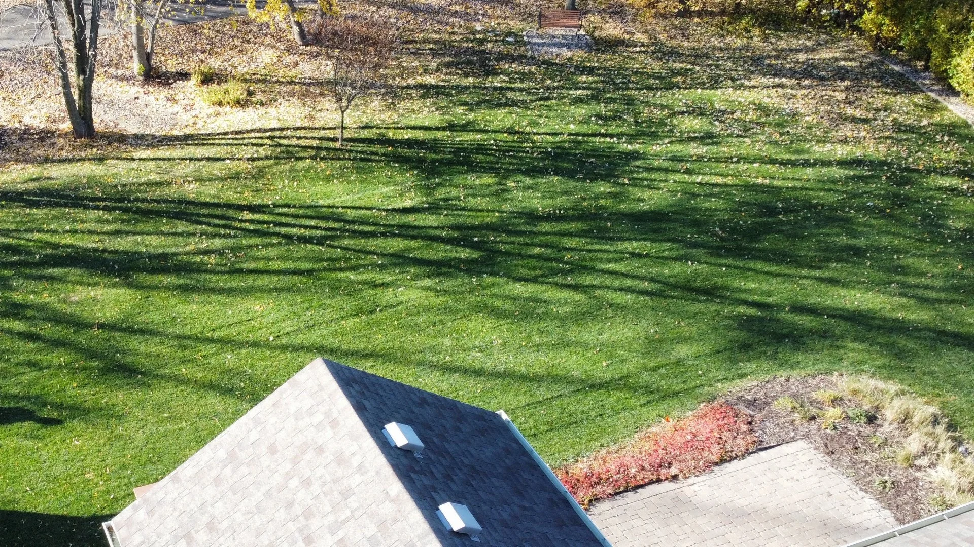 Don't Make These Mistakes if You Plan to Overseed Your Lawn Yourself!
