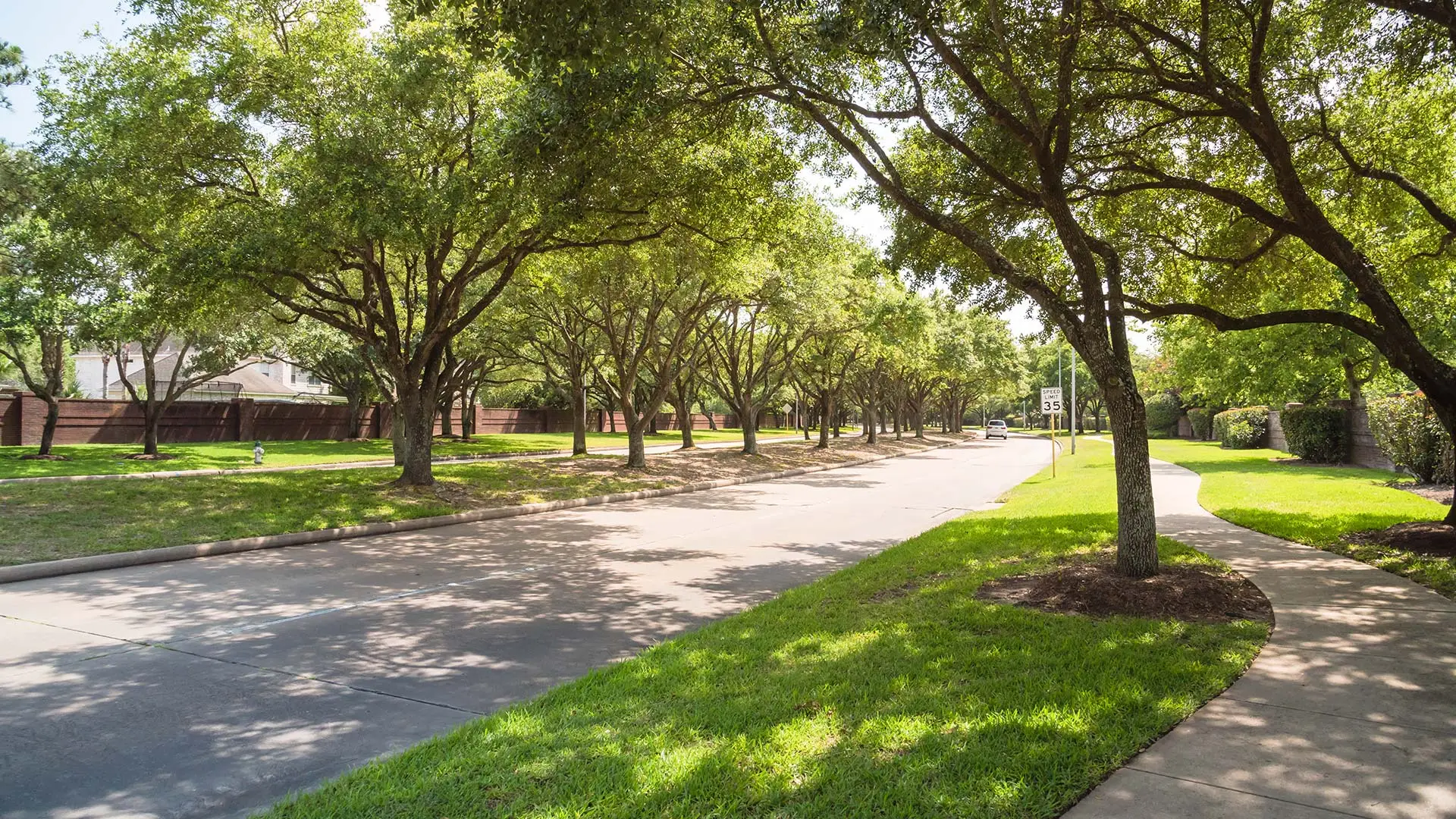 A neighborhood street lined with trees in West Des Moines, IA.