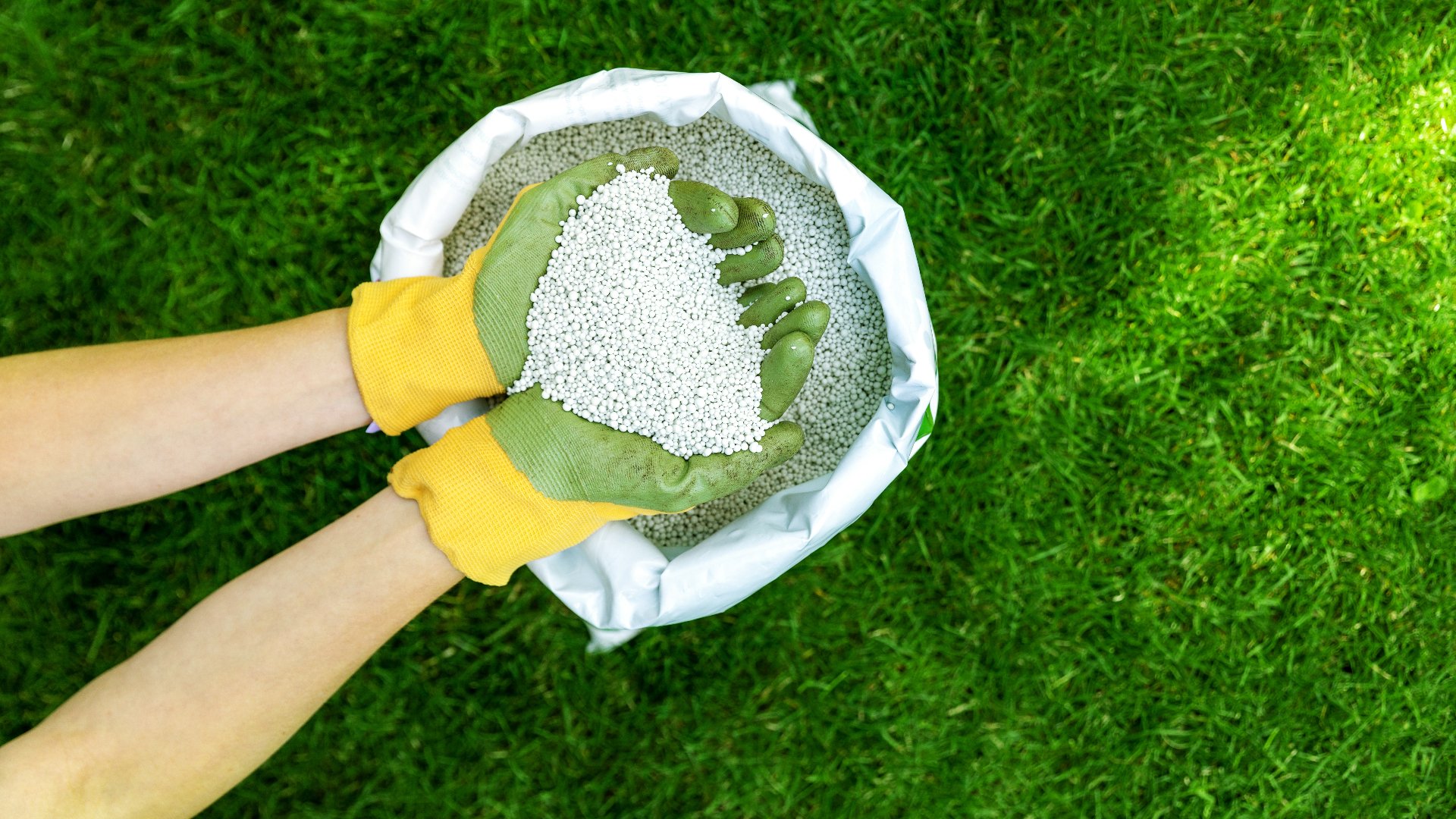 How Many Times Should You Be Fertilizing Your Lawn in Ankeny in the Spring?