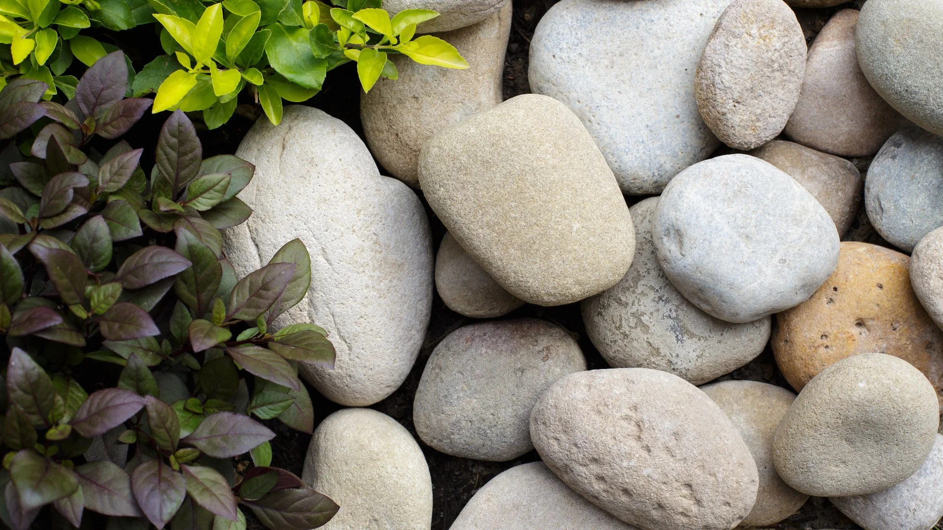 3 Types of Rocks That Are Great Ground Covers for Landscapes
