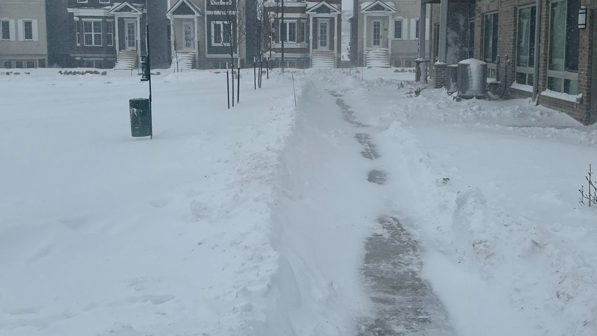 Professional Snow Removal - Is It Worth It?