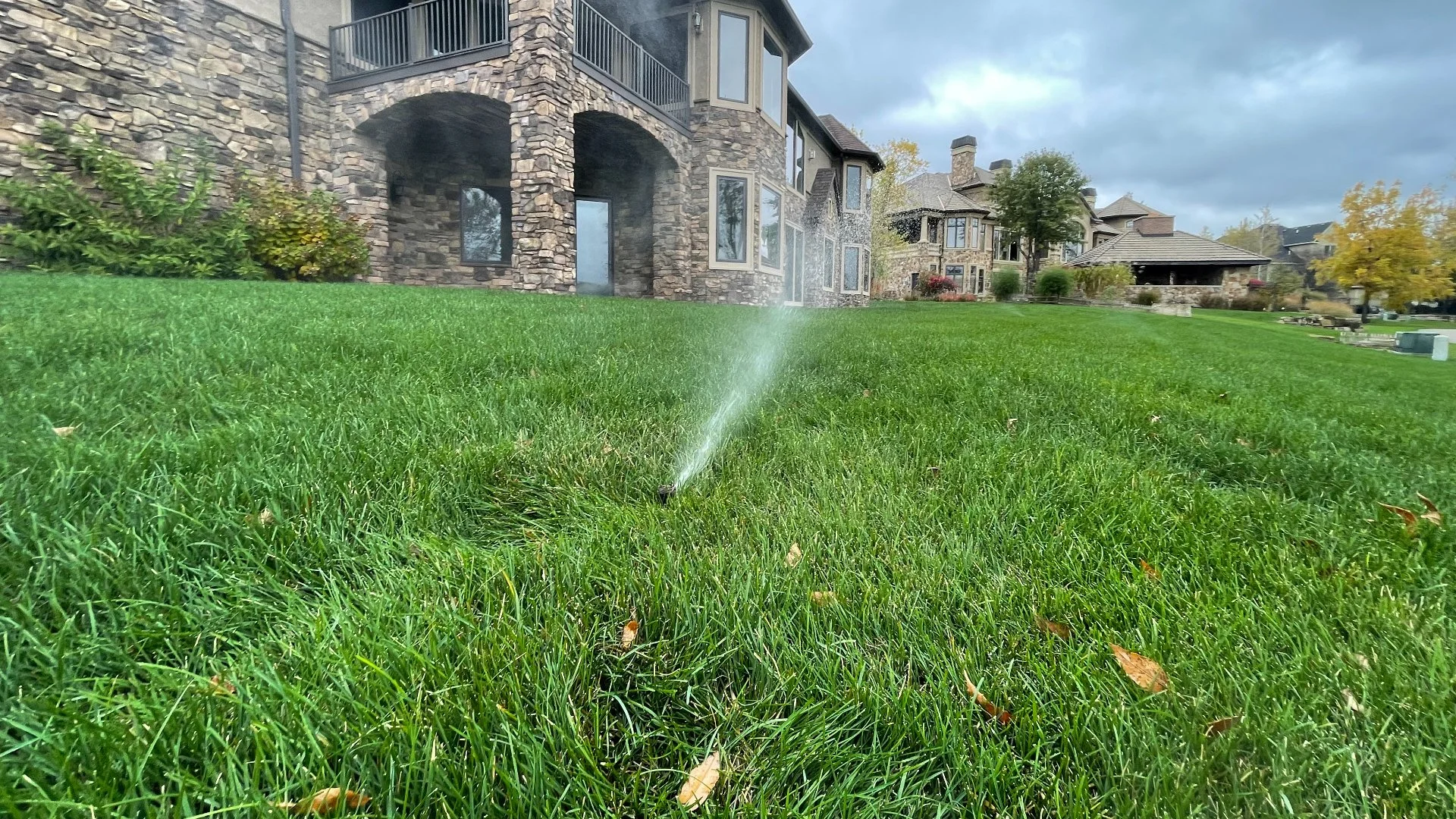 Do You Really Need to Hire Pros for Your Irrigation Startup?