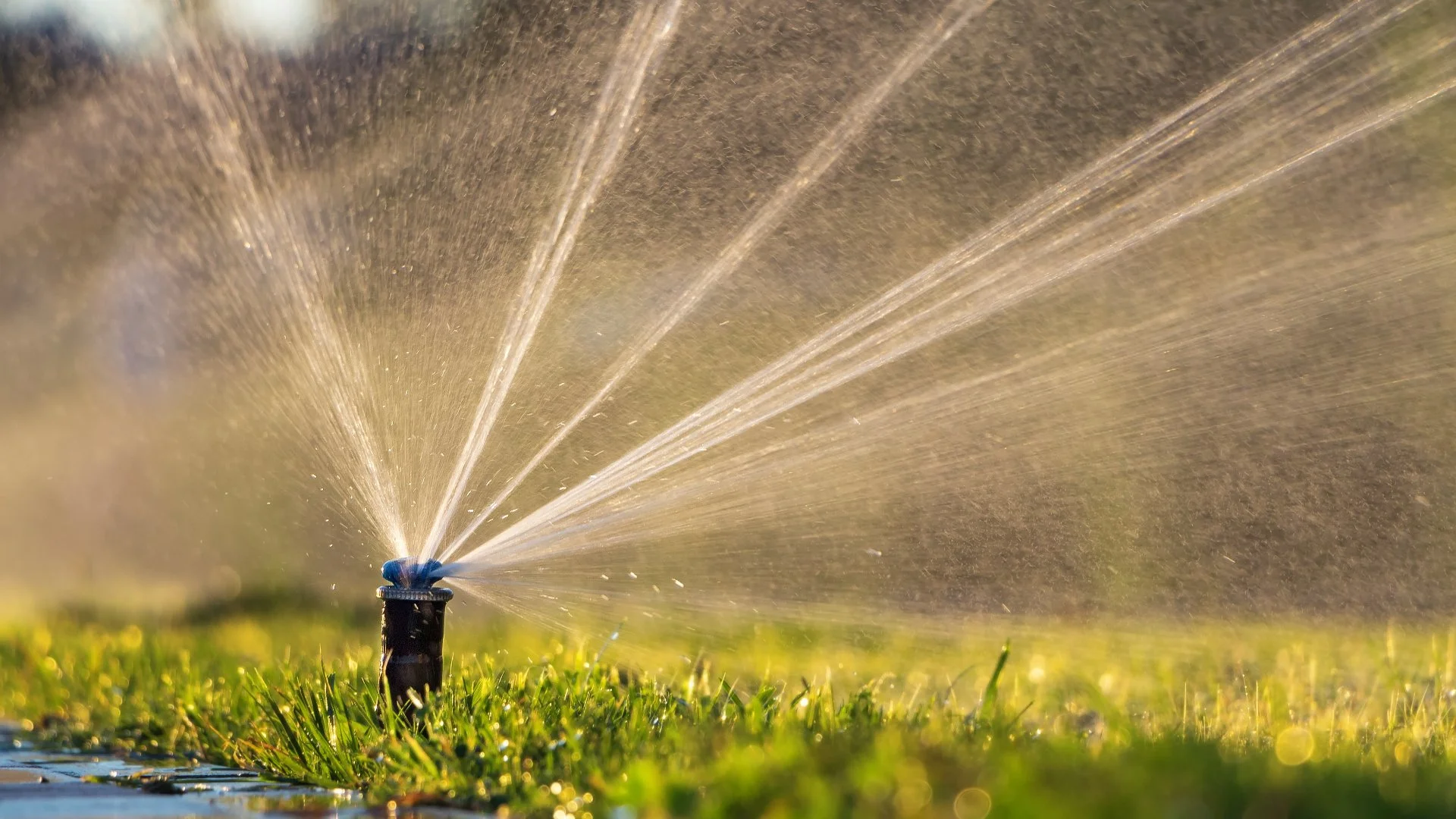 Optimizing Your Irrigation System: Smart Controller Edition