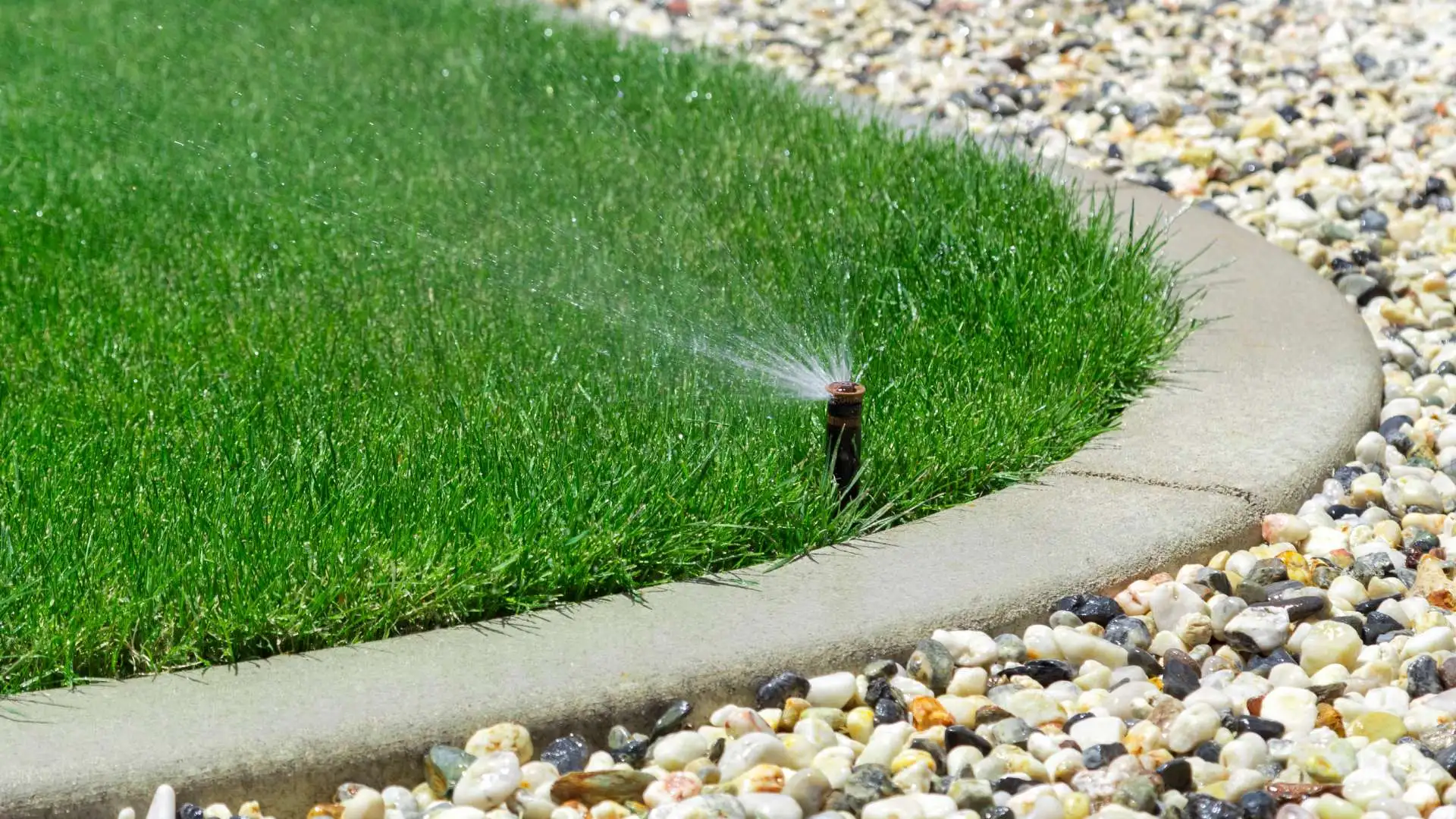 Sprinkler head in lawn watering yard in Johnston, IA.