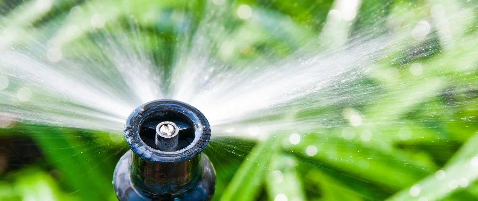 Close up of an irrigation sprinkler head in Ankeny, IA.