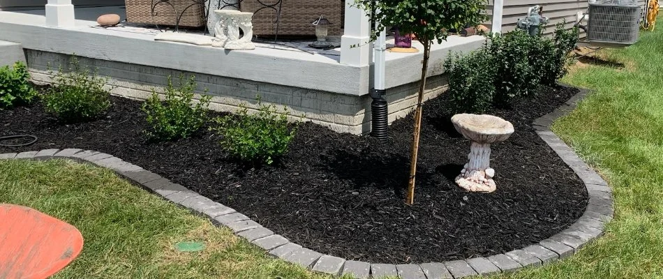 Landscaped bed in Ankeny, IA, with mulch and plants.