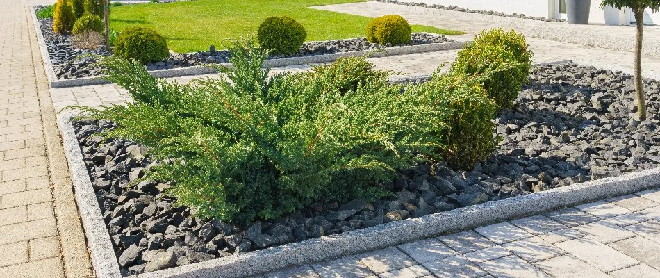 Landscape bed in Ankeny, IA, with plants and gray trap rocks.