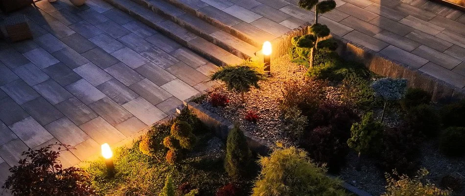 Landscape in Ankeny, IA, with plants and outdoor lights.
