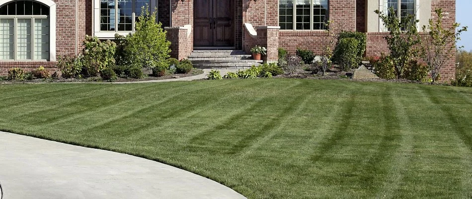 Newly mowed grass in Ankeny, IA.