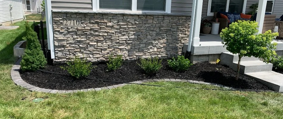 Small landscape bed in Ankeny, IA, with plants.