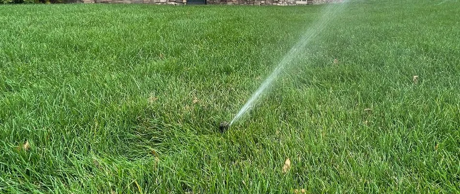 Sprinkler head watering a green lawn in Ankeny, IA.
