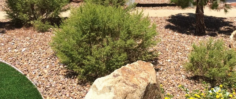 Tan rocks, a boulder, and green shrub in a landscape in Ankeny, IA.