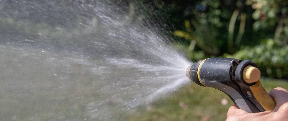 Watering a lawn in Ankeny, IA, using a garden hose.