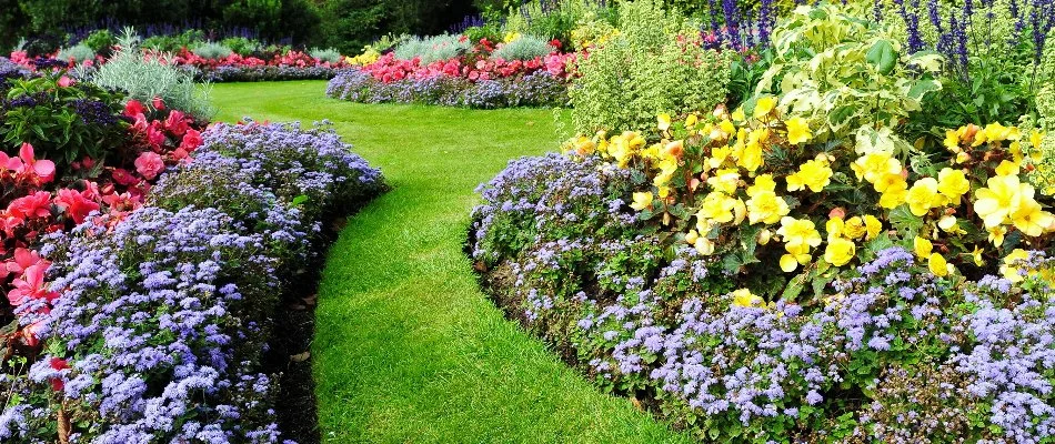 Yard in Ankeny, IA, with colorful flowers.