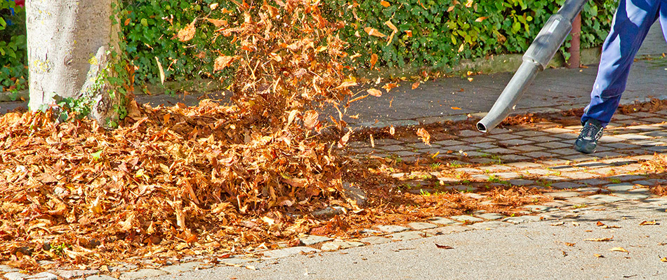 Our landscape professional blowing a pile of leaves during a fall cleanup in Elkhart, IA.