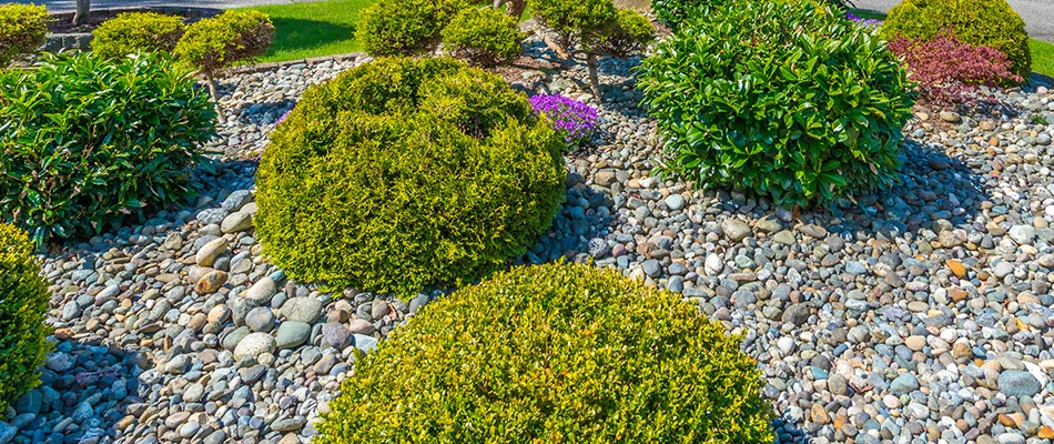 A landscape bed of bushes covered with rock by a home in Pleasant Hill, IA. 