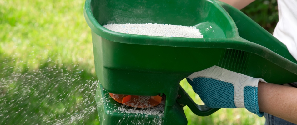 Granular fertilizer in handheld in Ankeny, IA.
