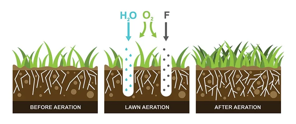 Lawn aeration infographic for properties near Ankeny, IA.