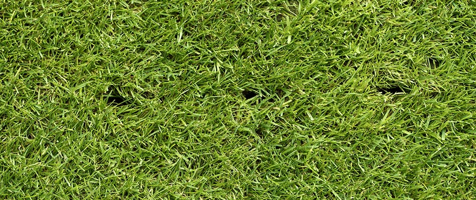 Commercial property with core aeration holes near West Des Moines, IA.