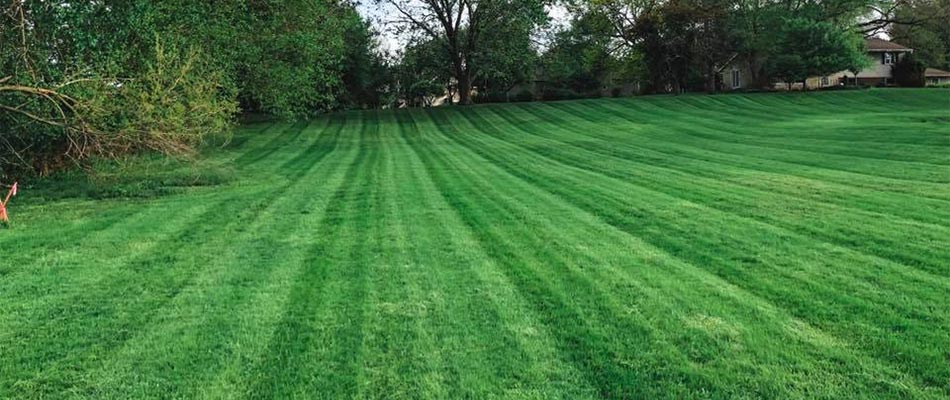 Lush, green lawn with mowing lines near Ankeny, IA.