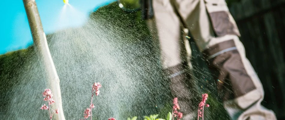 Person Applying Weed Control To Landscape Beds