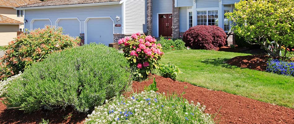 Landscape plantings and bed renovations at a home in Bondurant, IA.