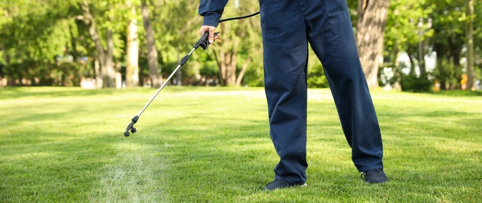 Professional applying pet-safe product to lawn in Ankeny, IA.