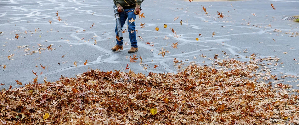 Professional blowing leaves and debris away from a parking lot in Ankeny, IA.