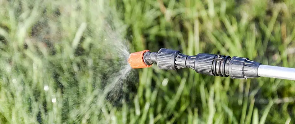 Spraying weed control treatment on a lawn in Johnston, IA.